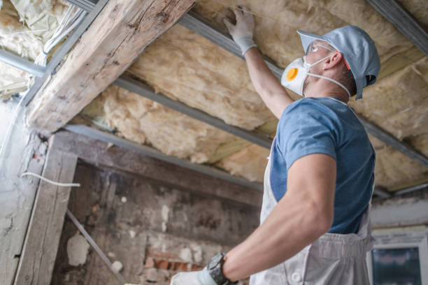 Best Insulation Contractor Near Me  in Hoopers Creek, NC
