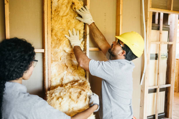Best Best Insulation Companies  in Hoopers Creek, NC