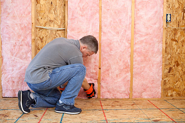 Best Insulation Removal  in Hoopers Creek, NC