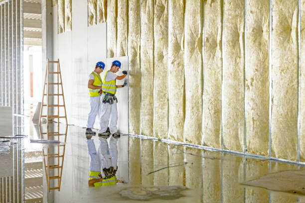 Best Insulation Inspection Services  in Hoopers Creek, NC